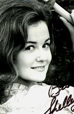Shelley Fabares picture