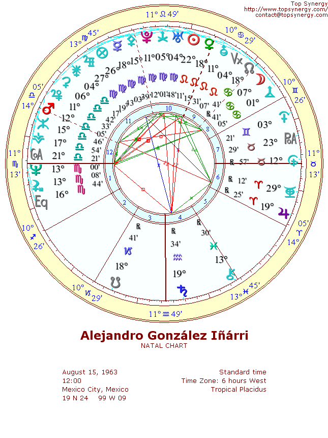 Alejandro Gonzlez Irritu natal wheel chart