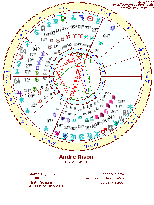 Andre Rison natal wheel chart