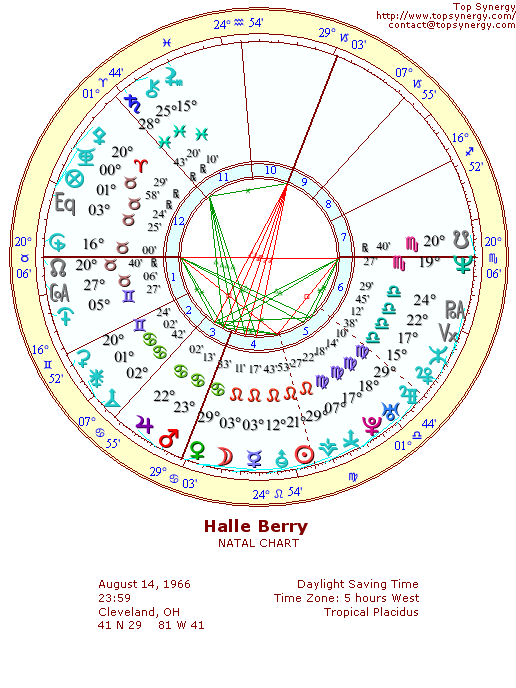 Halle Berry natal wheel chart