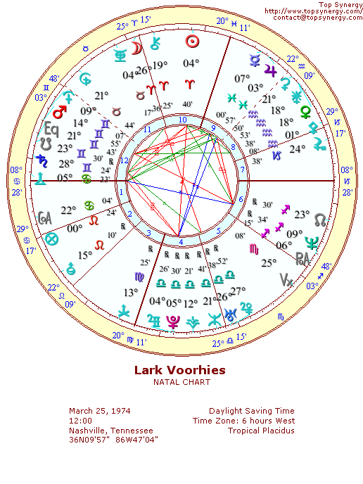 Lark Voorhies natal wheel chart