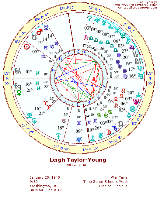 Leigh Taylor-Young natal wheel chart