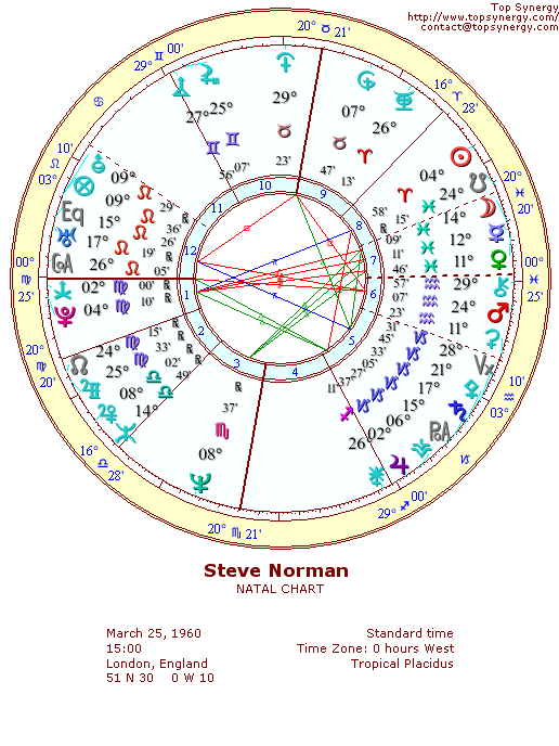 Steve Norman natal wheel chart