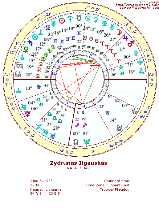 Zydrunas Ilgauskas natal wheel chart